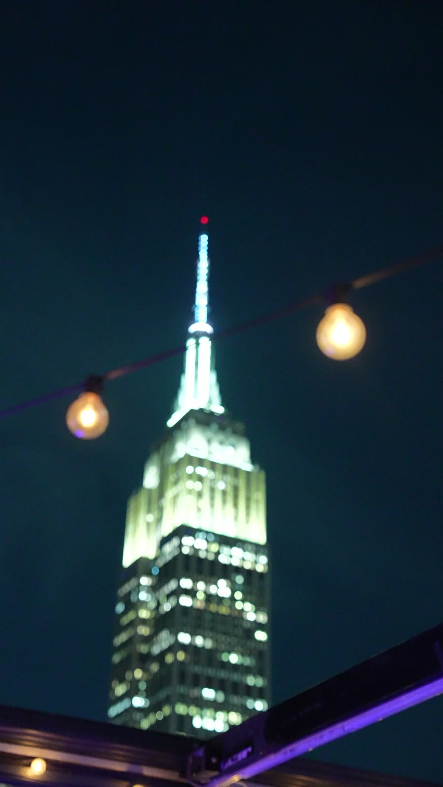 The Empire State Building above the New York rooftop