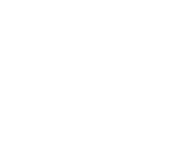 The Wellness Society